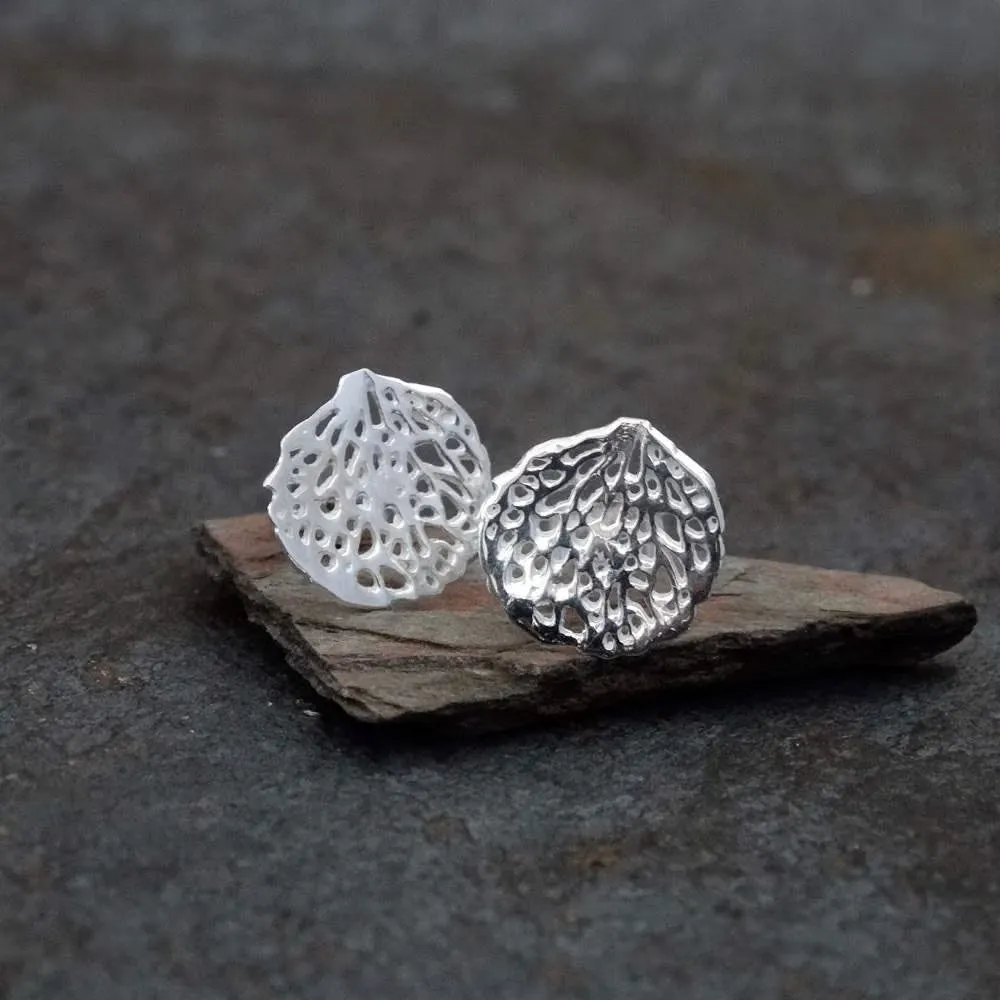 Delicate Leaf Stud Earrings