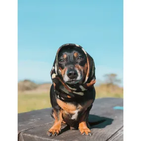 Dog Scarf Can't See Me