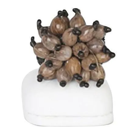 Stunner Statement Ring handcrafted from natural seeds