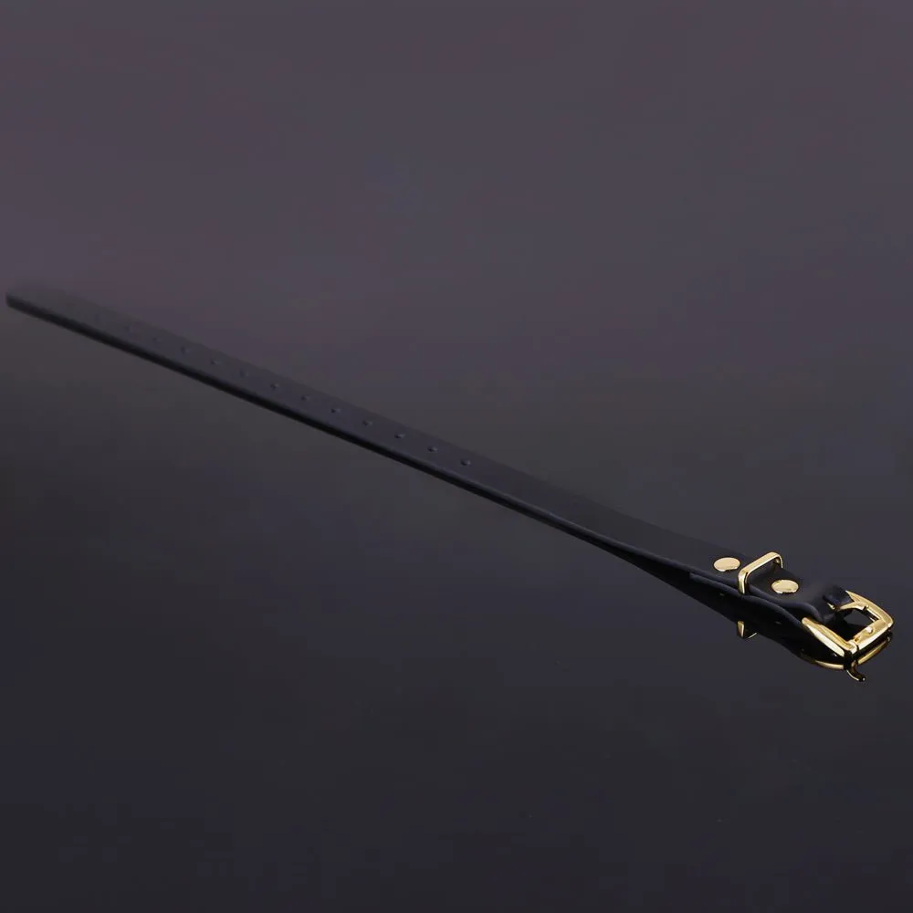 The most Versatile Bondage Kit - High Quality Polished Steel
